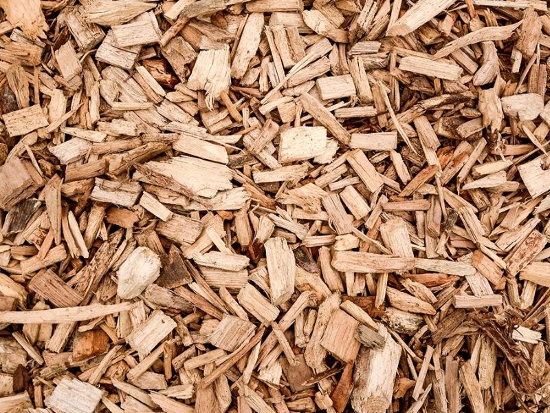 Cips Satışı Marmara - İstanbul, Kocaeli, Bursa